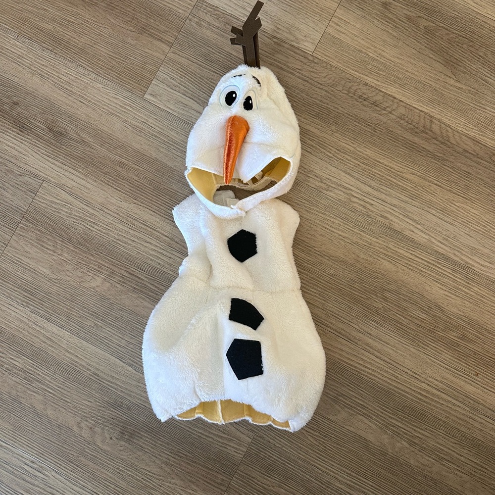 Disney Olaf Costume